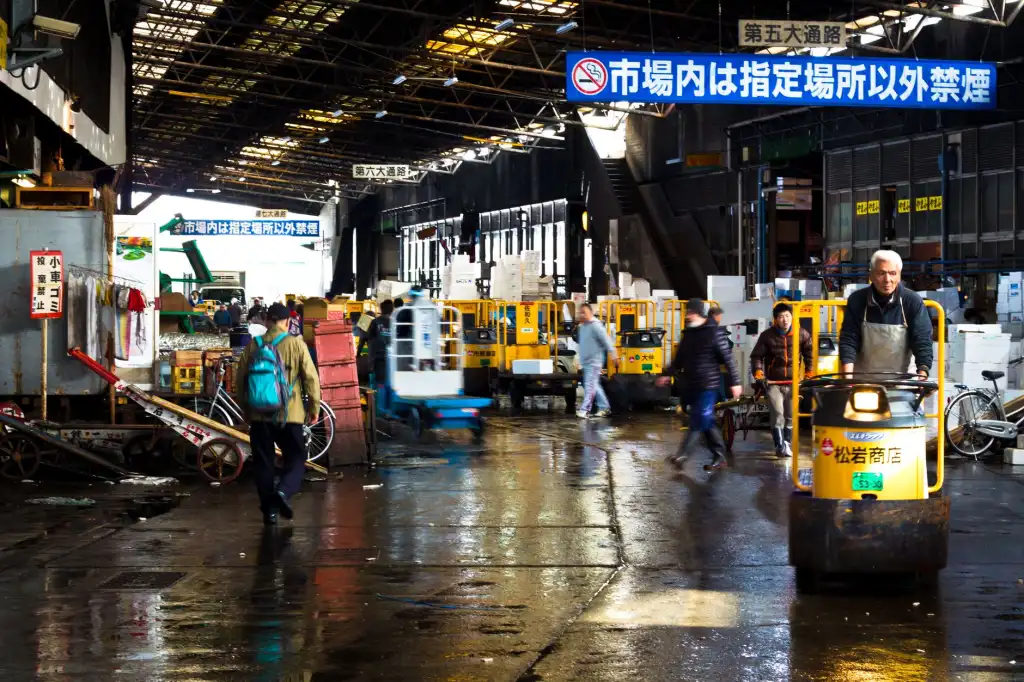 江苏佳大光电科技光伏组件选型指南与工程适配建议