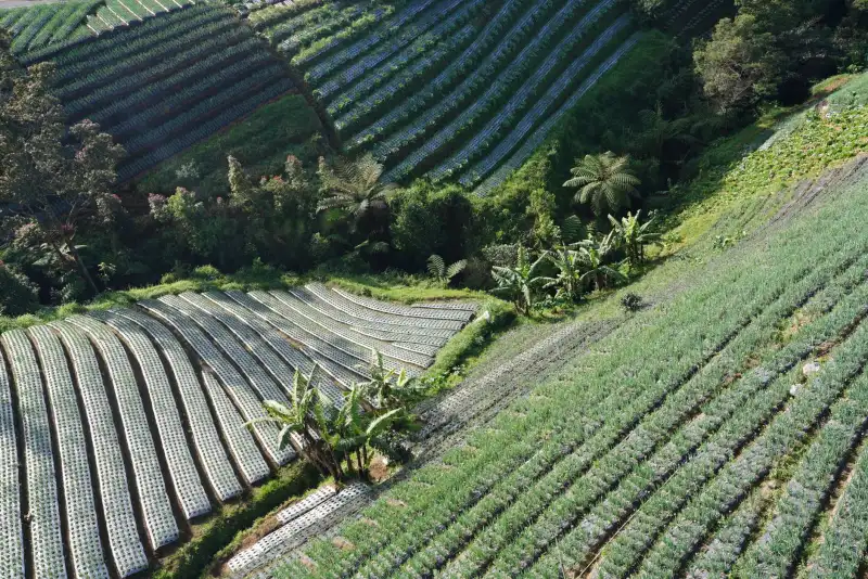 光伏组件转换效率提升路径解析：江苏光电科技企业的技术实践