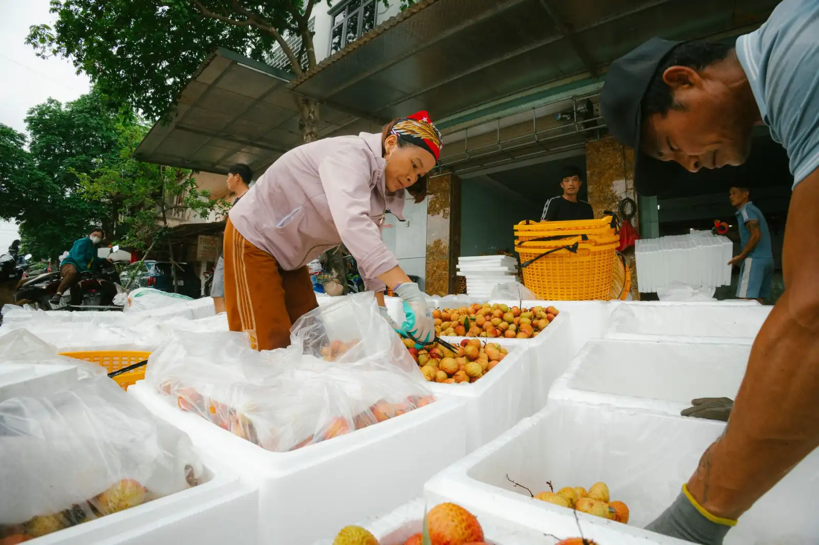 江苏光伏组件生产技术升级路径解析：高效太阳能电池片工艺新进展
