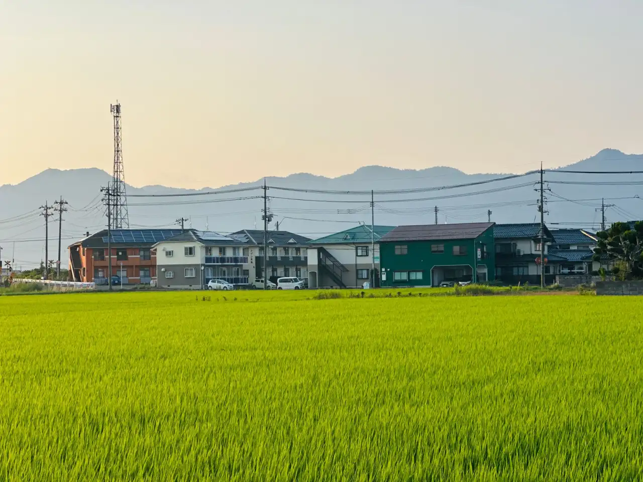 江苏光伏组件生产技术升级趋势：光电科技如何推动新能源制造效率提升正文配图 2