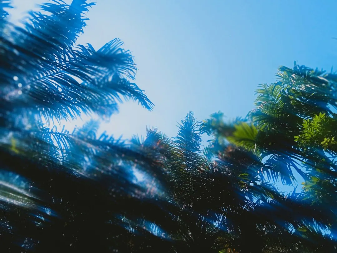 单晶与多晶太阳能光伏组件选型对比：江苏制造产品的性能差异分析